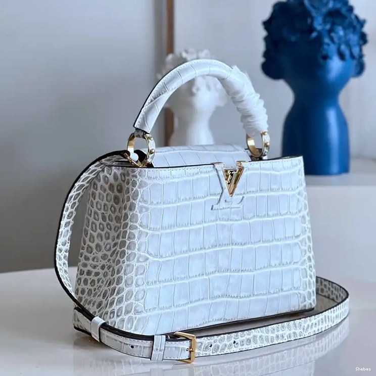 2210YA0129 Bag LV 0723